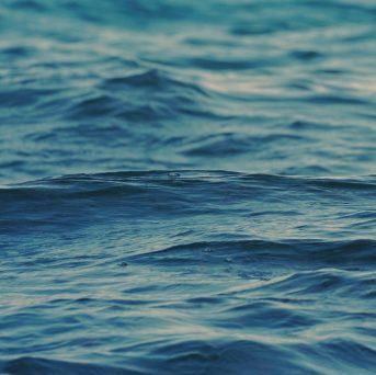 Open Water Swimming – What you need to know