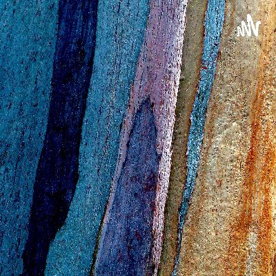 509.药企老总们，出租车公司是做不成滴滴的