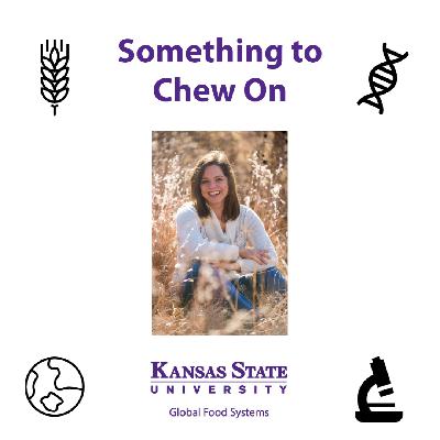 Food and poetry: Exploring the connection between food, the five senses, creativity and language