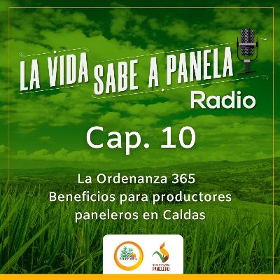 Capítulo 10 - La Ordenanza 365 - Beneficios para productores paneleros en Caldas Capítulo 10 - La Ordenanza 365 - Beneficios para productores paneleros en Caldas
