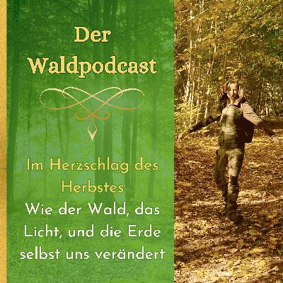 Im Herzschlag des Herbstes - wie der Wald, das Licht und die Erde selbst uns verändert Im Herzschlag des Herbstes - wie der Wald, das Licht und die Erde selbst uns verändert
