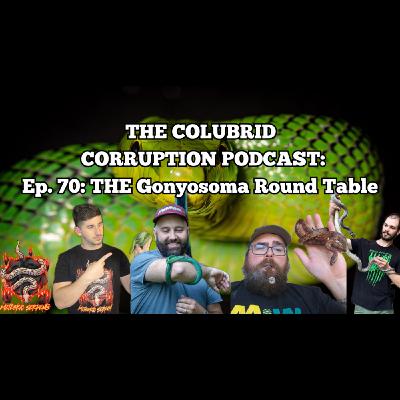 The Epic Gonyosoma Round Table | The Colubrid Corruption Podcast | Ep. 70 The Epic Gonyosoma Round Table | The Colubrid Corruption Podcast | Ep. 70