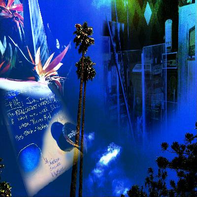 Episode 116: John-nay, Trump, the REAL SECRET CHEAPEST COFFEE, what weed what like when Nirvana"Nevermind" came out, and strain o' the week "Liquid Butter" aka Two Dollar Cup o Death - THE SUNDAY SHOW WITH JOHNNY O Episode 116: John-nay, Trump, the REAL SECRET CHEAPEST COFFEE, what weed what like when Nirvana"Nevermind" came out, and strain o' the week "Liquid Butter" aka Two Dollar Cup o Death - THE SUNDAY SHOW WITH JOHNNY O