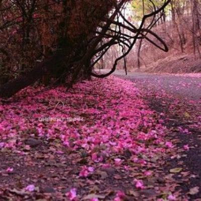 فاعتبروا يا أولي الأبصار