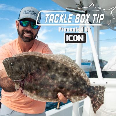 Catch more fish using these Live Bait Fishing Techniques Catch more fish using these Live Bait Fishing Techniques