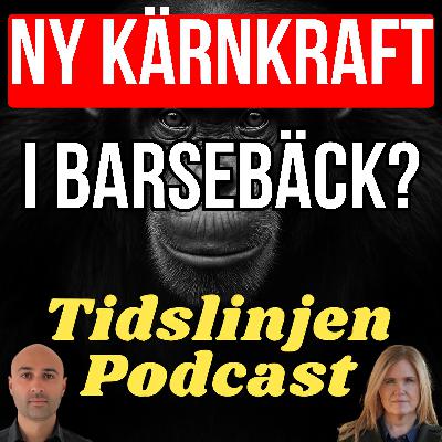 #76 - Ny kärnkraft i Barsebäck? Kommunstyrelsens ordförande svarar