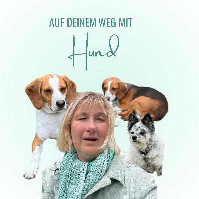 013 - Graue Schnauzen - leben mit älteren Hunden