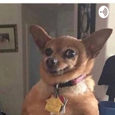 Funny School Stories (Trailer)