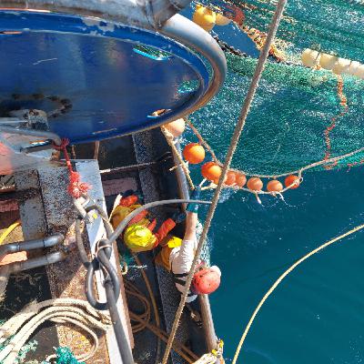 [Emission spéciale avec la Voix du Nord] Quelle pêche durable dans la région ?