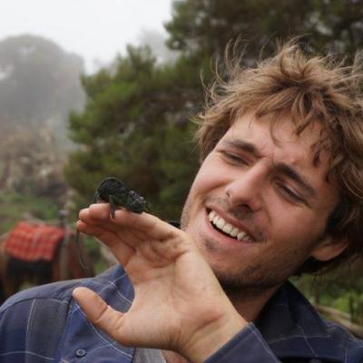 Interview with Sam Gandy on psychedelics as nature connection catalysts at the Alps Conference 2022
