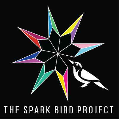The Magic of Spark Bird Experiences with Arthur Pearson