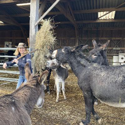 Randonner avec un âne pour se reconnecter à la nature