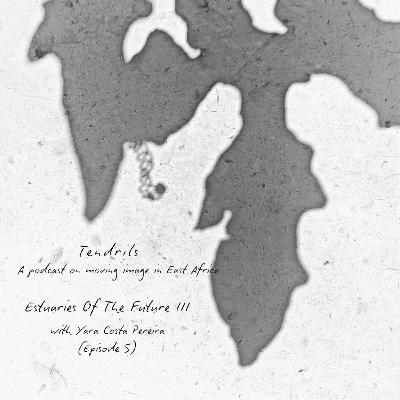 Estuaries Of The Future III with Yara Costa Pereira - (Episode 5) Estuaries Of The Future III with Yara Costa Pereira - (Episode 5)