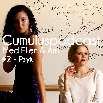 2. Psyk