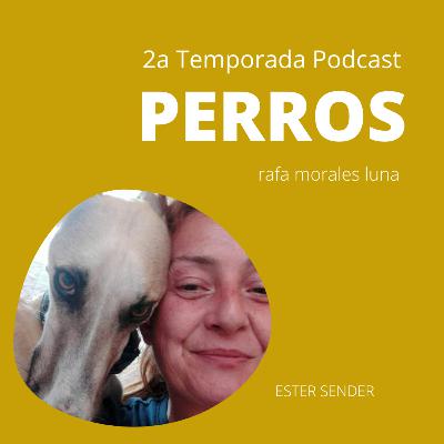 TELEPATÍA Y REIKI - ESTER SENDER - MÁS ALLÁ DE LO VISIBLE