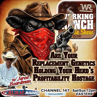 Ep 240: Are Your Replacement Genetics Holding Your Herd’s Profitability Hostage w/ Jared Boardman Ep 240: Are Your Replacement Genetics Holding Your Herd’s Profitability Hostage w/ Jared Boardman