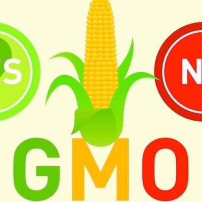 GMOs and engineered food