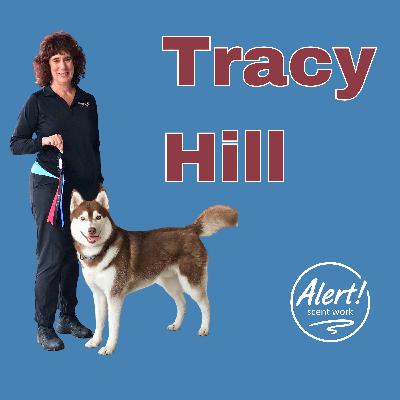 Tracy Hill | Setbacks, Sick Dogs, and Showing Up Anyway Tracy Hill | Setbacks, Sick Dogs, and Showing Up Anyway