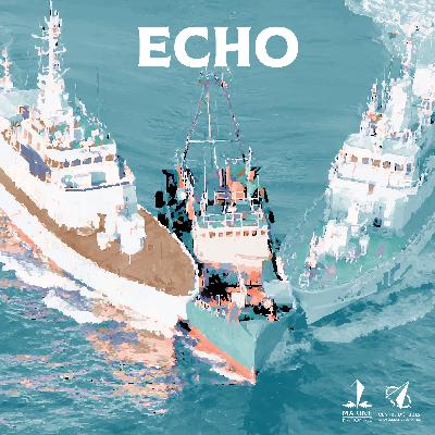 Echo - Episode 86 : Triades chinoises : acteurs stratégiques pour la conquête de Taiwan ? Echo - Episode 86 : Triades chinoises : acteurs stratégiques pour la conquête de Taiwan ?