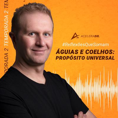 56 - Águias e Coelhos - Propósito Universal