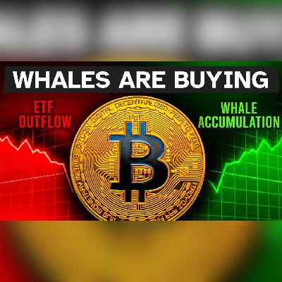 The ETF Lie Is Hiding Bitcoin's Bottom The ETF Lie Is Hiding Bitcoin's Bottom
