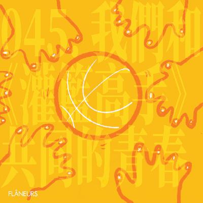 045. 我们和《灌篮高手》共同的青春