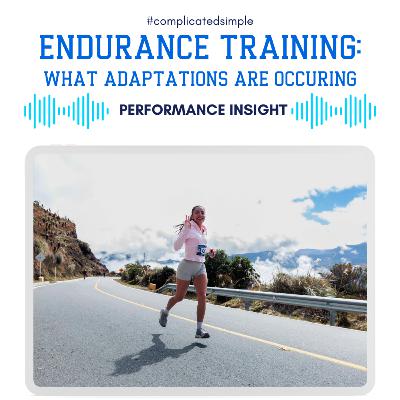 Endurance Training: What Adaptation Really Happens Endurance Training: What Adaptation Really Happens