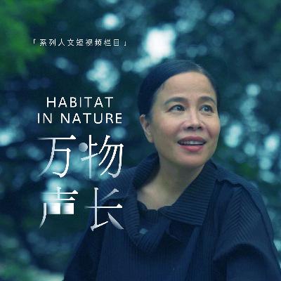 朱哲琴：万物声长