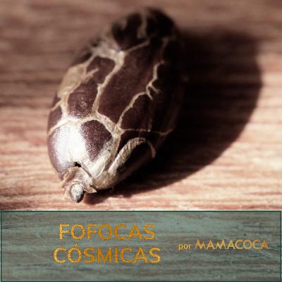 #39 / Cocoa Lovers: a medicina do Cacau
