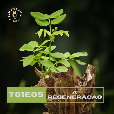 T01E05 - A Regeneração