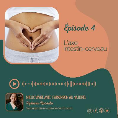 #4. Flash info - L'axe intestin-cerveau