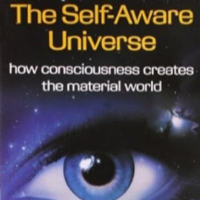 #112 - Amit Goswami (The Self Aware Universe)