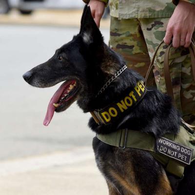 Military Working Dogs (MWDs) - Part I