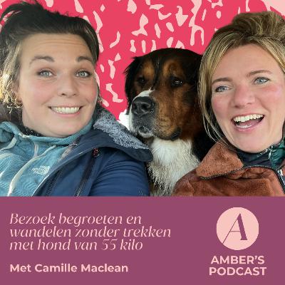 Bezoek begroeten en wandelen zonder trekken met hond van 55 kilo #150 Bezoek begroeten en wandelen zonder trekken met hond van 55 kilo #150