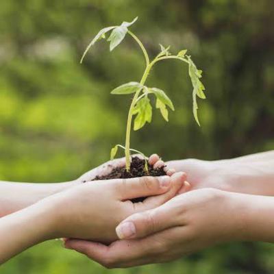 ¿Que es desarrollo sustentable?