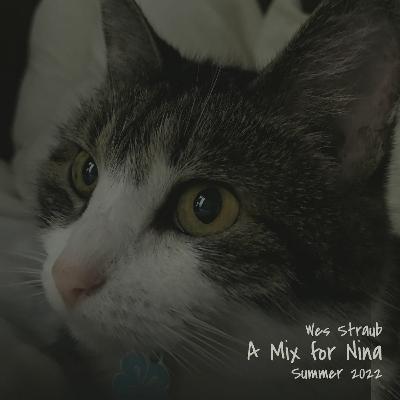 A Mix For Nina