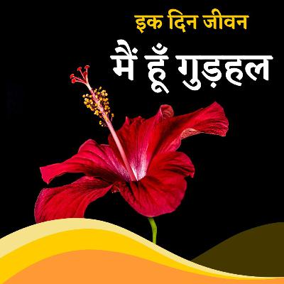 मैं हूँ गुड़हल, अरिसूदन / Ode to Hibiscus, Arisudan (Hindi poem) मैं हूँ गुड़हल, अरिसूदन / Ode to Hibiscus, Arisudan (Hindi poem)