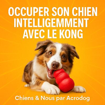 Occuper son chien intelligemment avec le Kong / Chiens & Nous par Acrodog