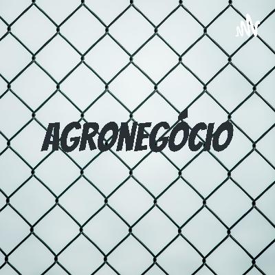 Agronegócio - Soja