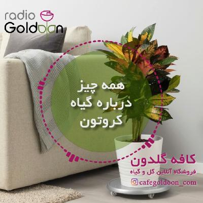 معرفی، نحوه نگهداری و تکثیر گیاه کروتون معرفی، نحوه نگهداری و تکثیر گیاه کروتون
