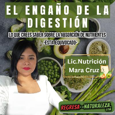 #23 > El Engaño de la Digestión: Lo Que Crees Saber Sobre la Absorción de Nutrientes Está Equivocado