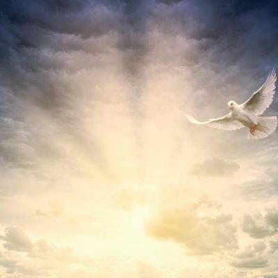 La Fusion des Purs Esprits