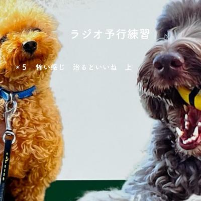 ✴︎５　怖い感じ　治るといいね　上