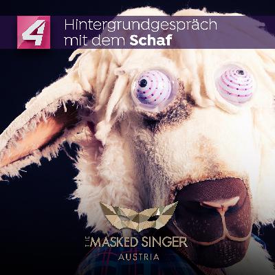 Das Schaf im Hintergrundgespräch