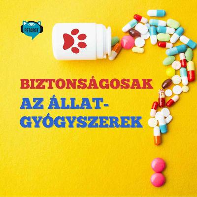 Az állatgyógyszerek biztonságosak? Tévhitek és életmentő tanácsok gazdiknak