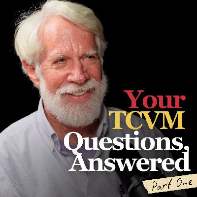 Dear Horse World, It’s Dr. John Langlois: Your TCVM Questions, Answered (Part One)