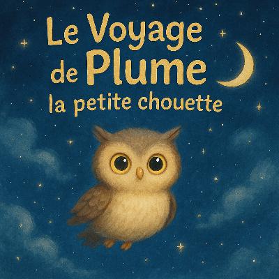 Le Voyage de Plume, la petite chouette