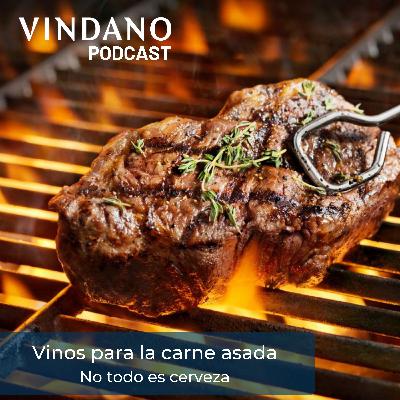 Vinos para la carne asada - no todo es cerveza
