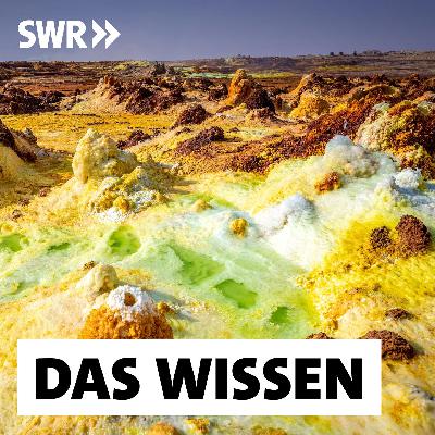 Der Ursprung des Lebens – Stand heute