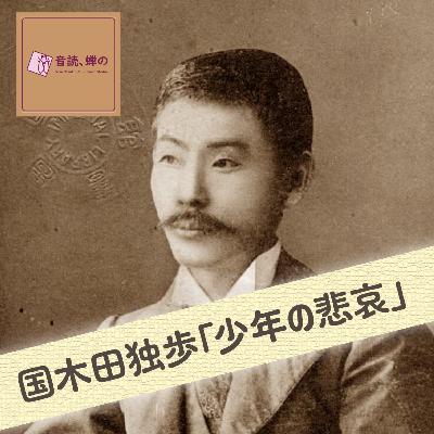 少年の悲哀/国木田独歩 少年の悲哀/国木田独歩